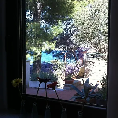 Daire Marija Grebaštica